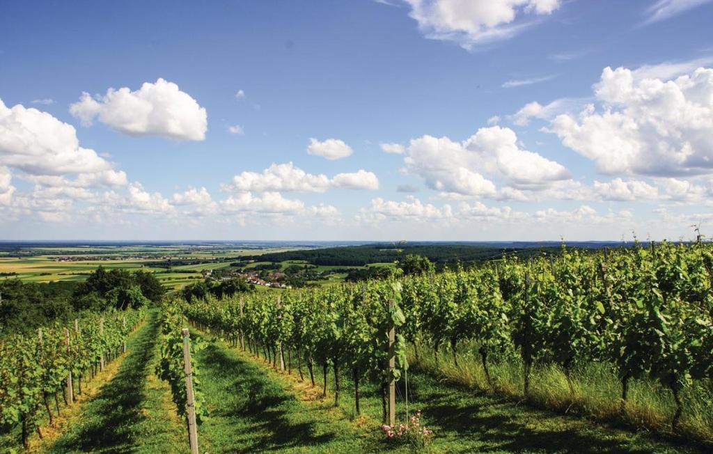 Вилла Kellerstoeckl Weinblick I Und II Eisenberg an der Pinka Экстерьер фото