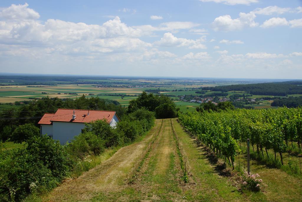 Вилла Kellerstoeckl Weinblick I Und II Eisenberg an der Pinka Экстерьер фото